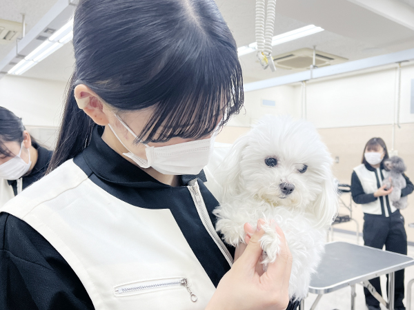 応用のトリミング機器☆